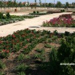 2010-07-leganes-inauguracion-parque-los-frailes-2