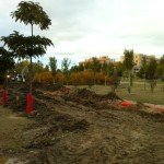20111107-obras-parque-arroyo-culebro_1