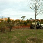 20111107-obras-parque-arroyo-culebro_2
