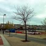 20111107-obras-parque-arroyo-culebro_3