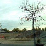 20111107-obras-parque-arroyo-culebro_4