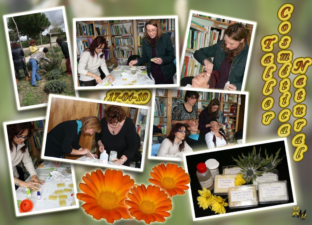 taller-mil-y-un-usos-de-las-plantas-1